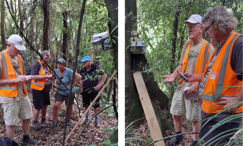 People in the forest with a pest trap